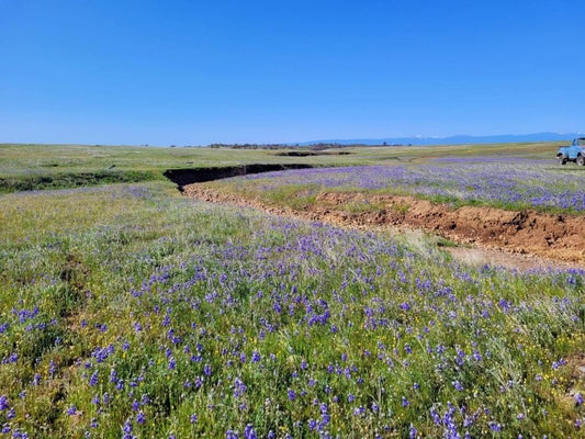 LEOPARD DR, ANDERSON, CA 96007 - Image 31c2c99e620f3bb76f714aff65fb9c78/2903287260