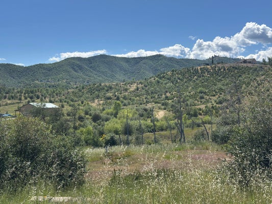 15934 CINDEE LN, REDDING, CA 96001 - Image 33e4e173e31371e15746974dcebe67d0/2675463543