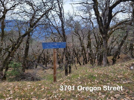 3791 OREGON ST, WEAVERVILLE, CA 96093 - Image 34645746033abdf7403ef2bfb0dbf8ab/761994958