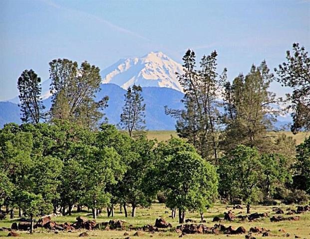 000 Aoudad Drive