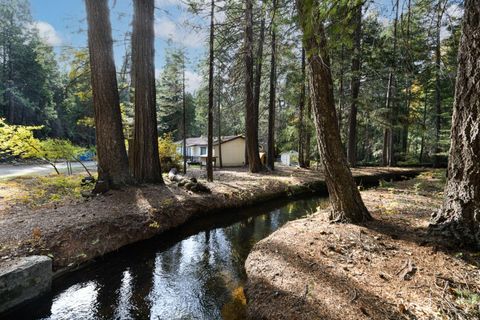 Photo of 7528 Leaning Cedar Lane, Shingletown, CA 96088 (MLS # 26-2133)