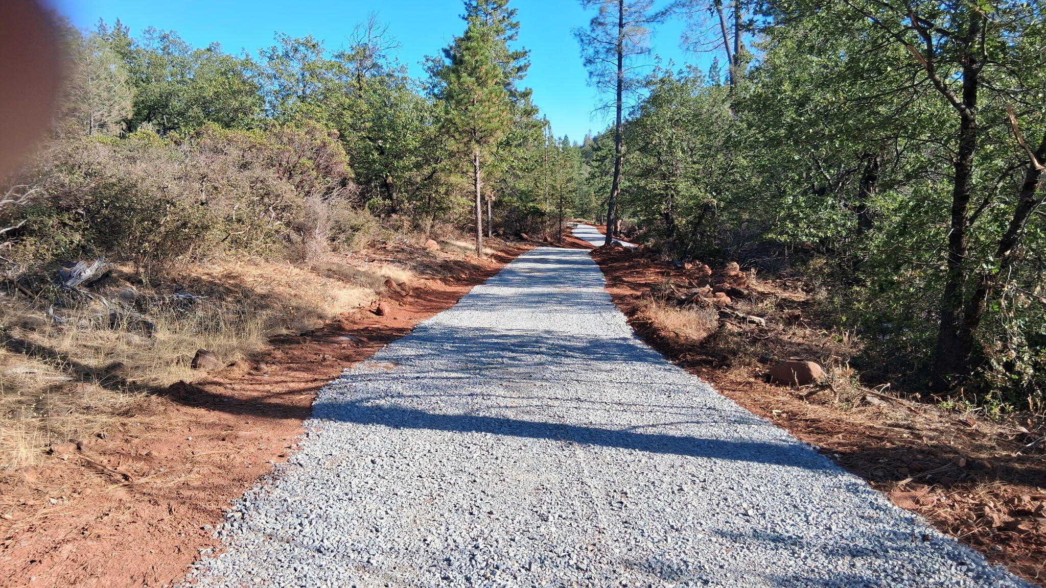 291 Acres Shingletown Ridge Road