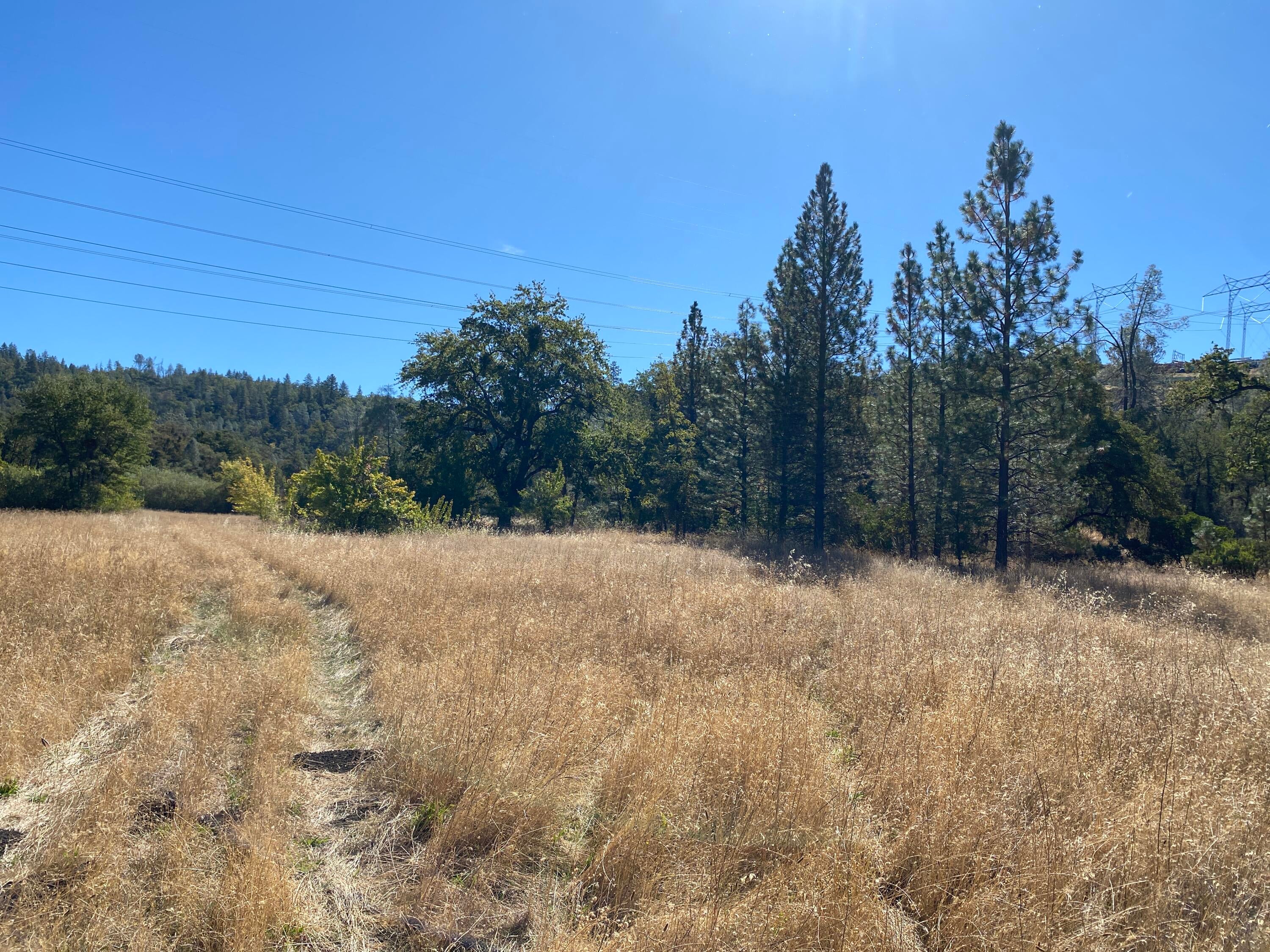 291 Acres Shingletown Ridge Road