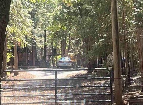 Photo of 30889 Bambi Drive, Shingletown, CA 96088 (MLS # 25-5468)