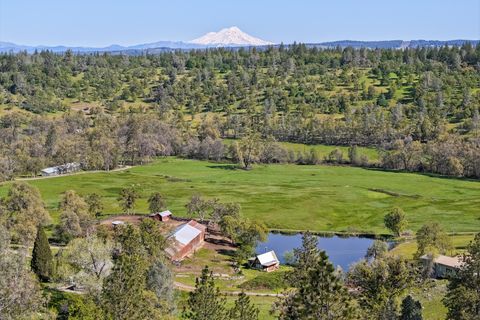 Photo of 9568 Blue Mountain Ranch Road, Whitmore, CA 96096 (MLS # 26-1676)