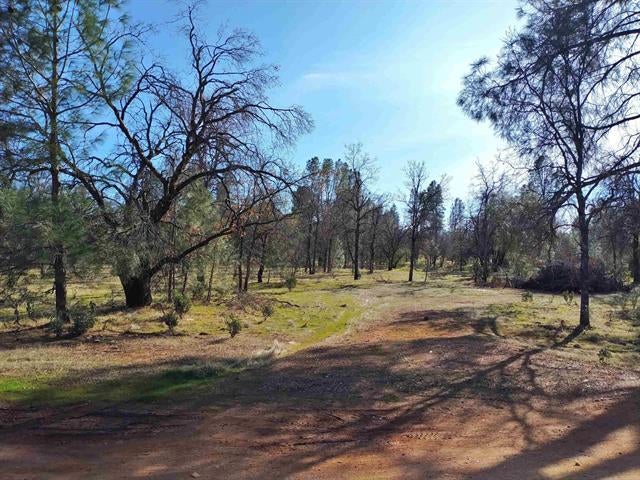 Lot 3 Palm Avenue