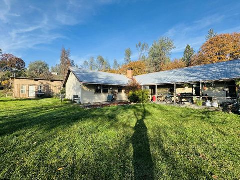 Photo of 191 Henrietta Road, Lewiston, CA 96052 (MLS # 25-5029)