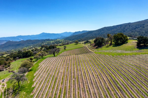 2 E CARMEL VALLEY RD, CARMEL VALLEY, CA 93924 - Image 487548d5cc08cb43b29376fc593f3312/3379362859