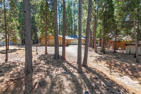 Photo of 7355 Shasta Forest Drive, Shingletown, CA 96088 (MLS # 25-3914)