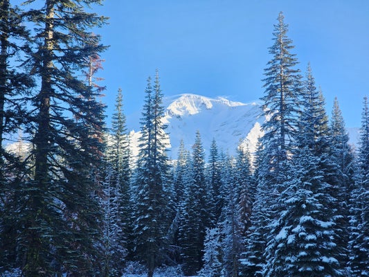 EVERITT MEMORIAL HWY, MOUNT SHASTA, CA 96067 - Image 4b4e7a2ee288ede02696250ecf4c5091/3572984169