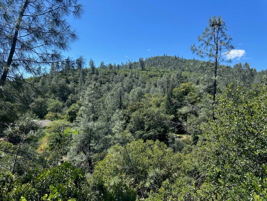 LOT LAKE BOULEVARD, SHASTA LAKE, CA 96019 - Image 4c1a94de60a43abc05de1b9d861b7084/3206278225
