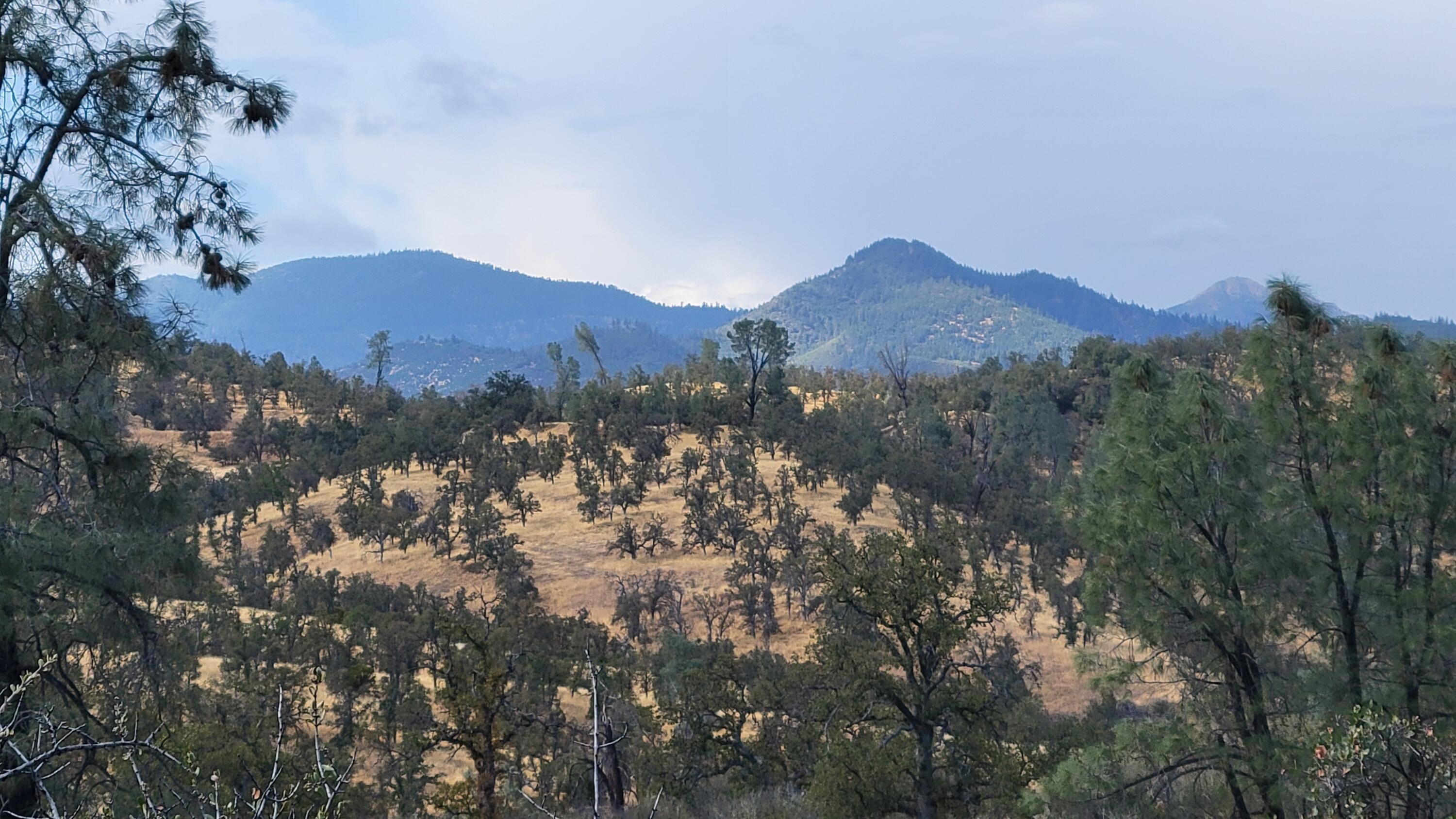 Lot 191 Tar Bully Road
