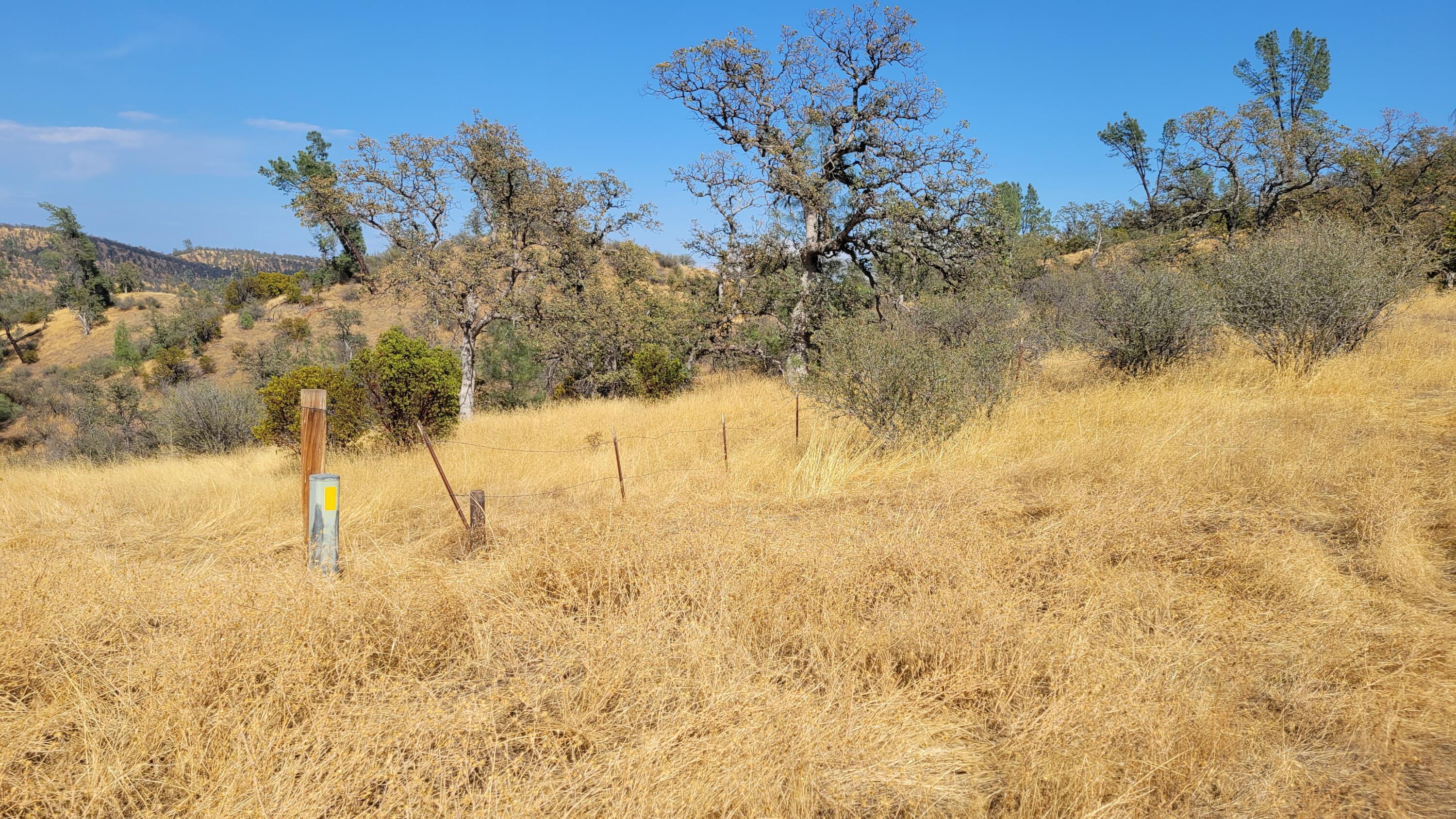 Lot 191 Tar Bully Road