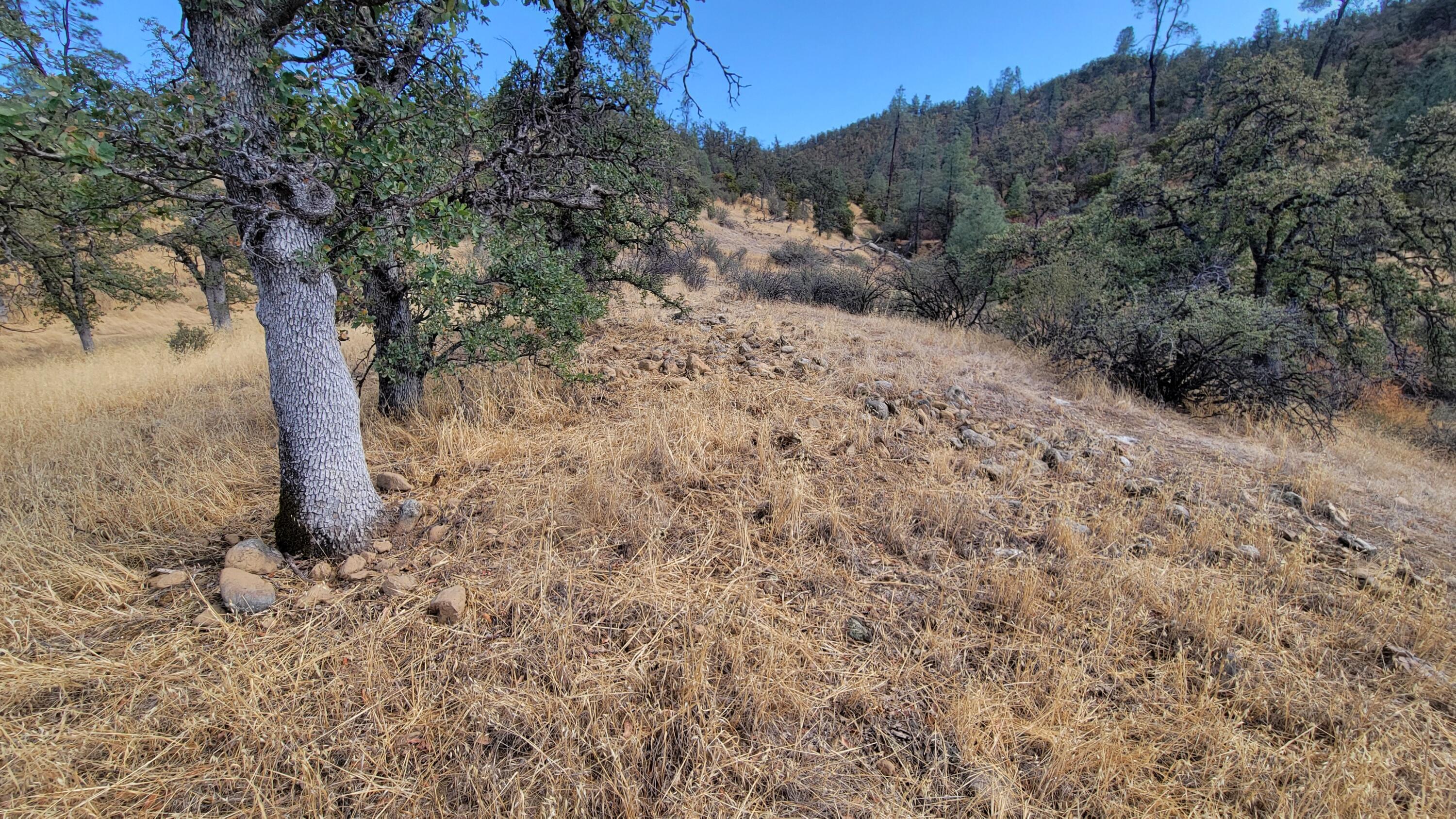 Lot 191 Tar Bully Road