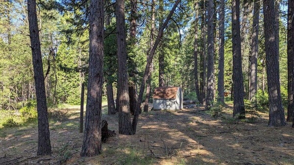 7693 LINDA RD, SHINGLETOWN, CA 96088 - Image 4d3b0fda468e1ea55a677cb3e7bae343/913515770