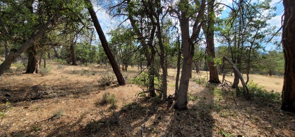 LOT 32 SHOSHONI LOOP, FALL RIVER MILLS, CA 96028 - Image 4e42c7f4ca427baa44a48aa4a2c5d961/2893138119