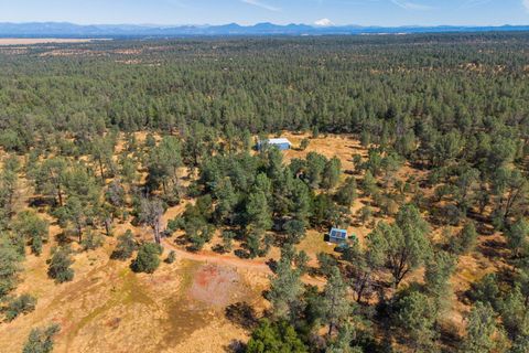 Photo of 25350 Buffalo Drive, Anderson, CA 96007 (MLS # 26-2798)