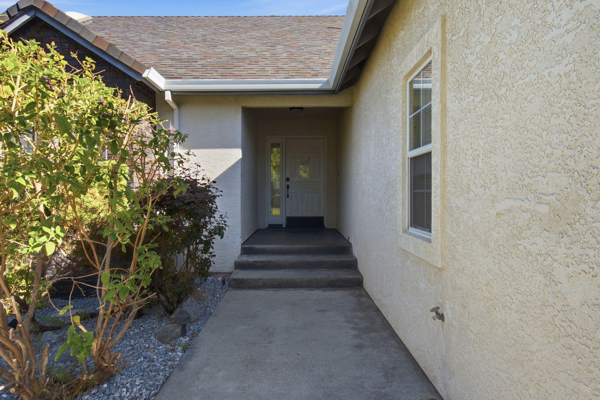 3154 Riesling Path