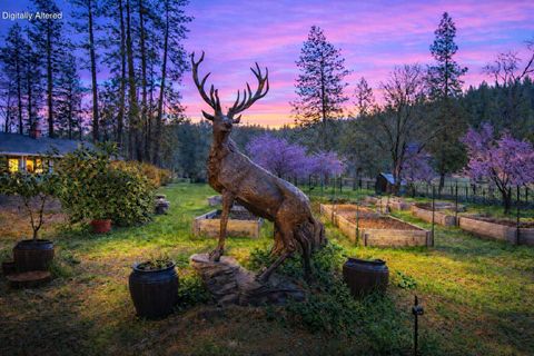 Photo of 29276 Bullskin Ridge Road, Oak Run, CA 96069 (MLS # 26-926)