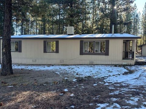 Photo of 42335 Blue Heron Circle, Old Station, CA 96071 (MLS # 26-136)