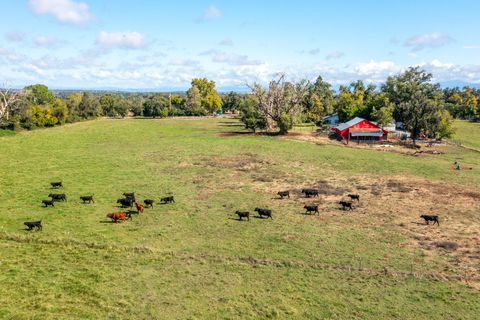 Photo of 4832 Balls Ferry Road, Anderson, CA 96007 (MLS # 25-4542)