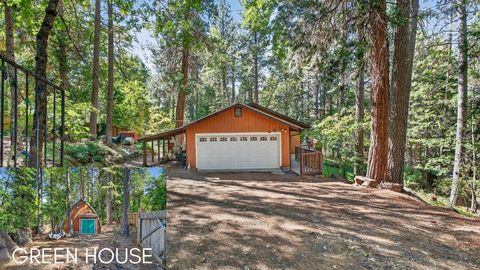 Photo of 7660 Ponderosa Way, Shingletown, CA 96088 (MLS # 25-4540)