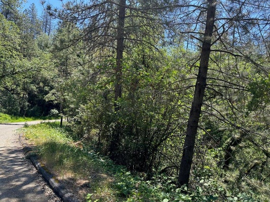 STATTON RD, LAKEHEAD, CA 96051 - Image 65d4c8454df912f0077378889bdb76fc/2899398297