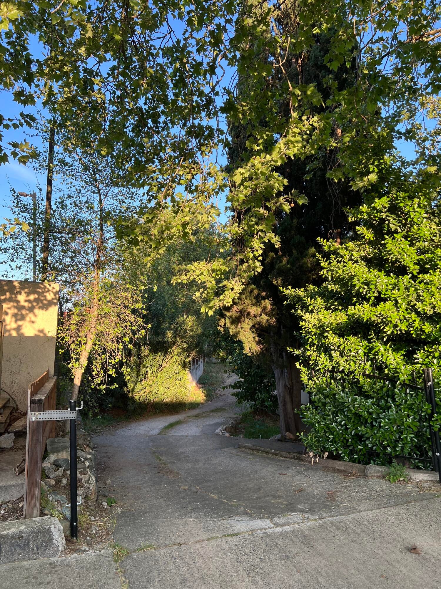 1129 Magnolia Avenue