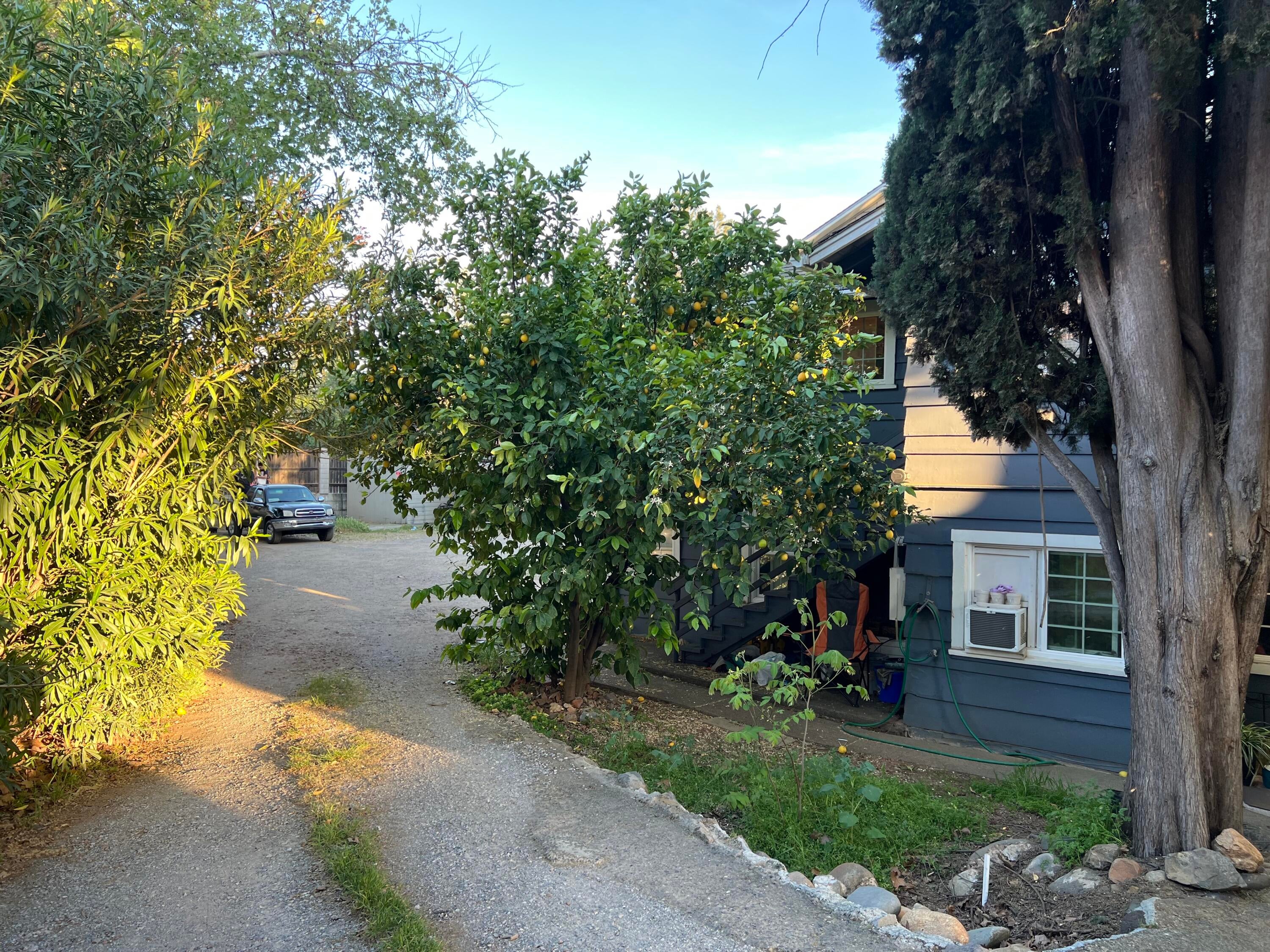 1129 Magnolia Avenue