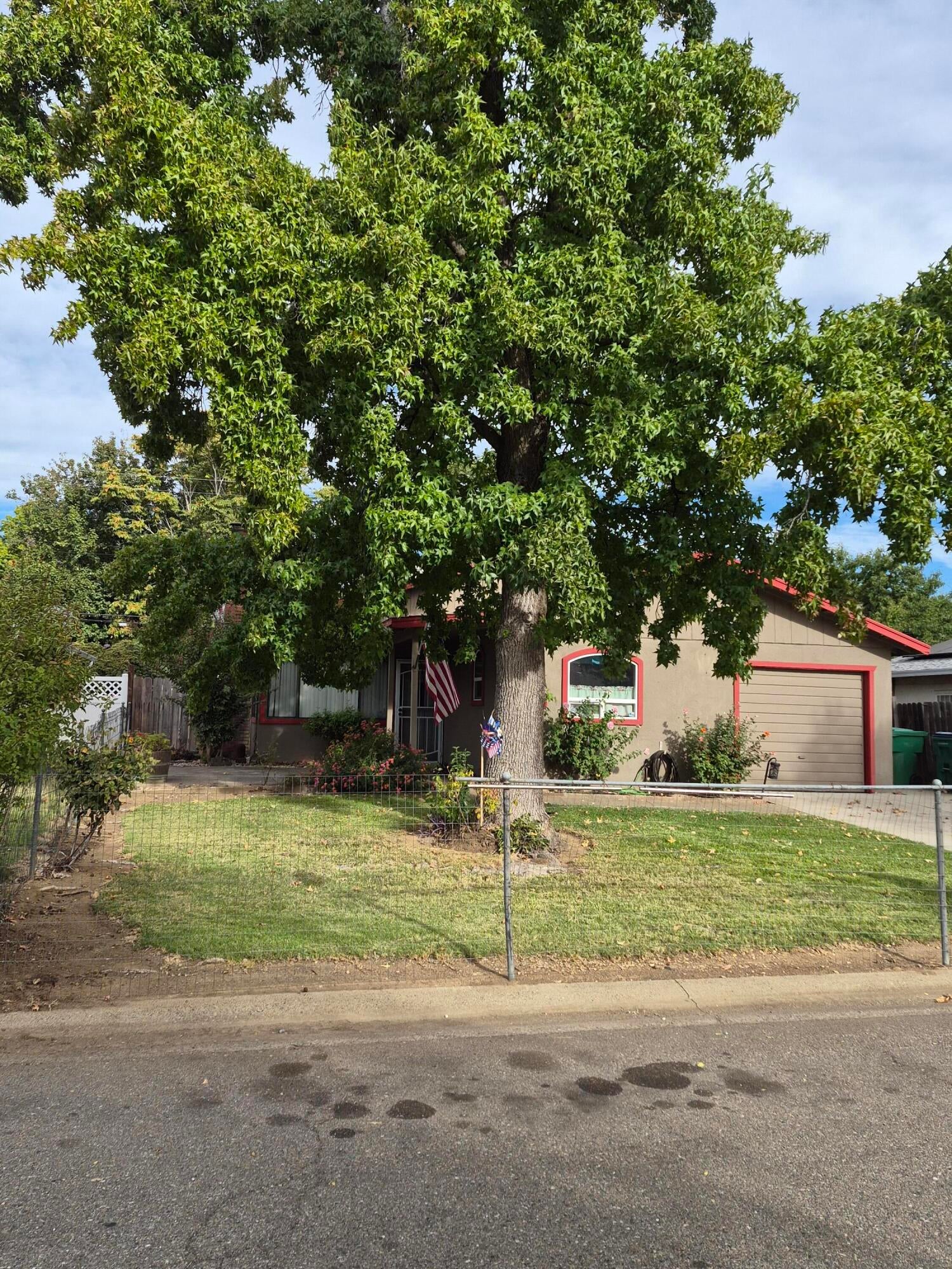 2950 Palomino Street