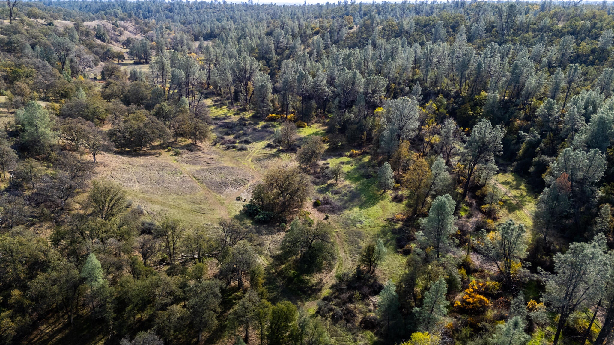 4200 Sunglow Drive