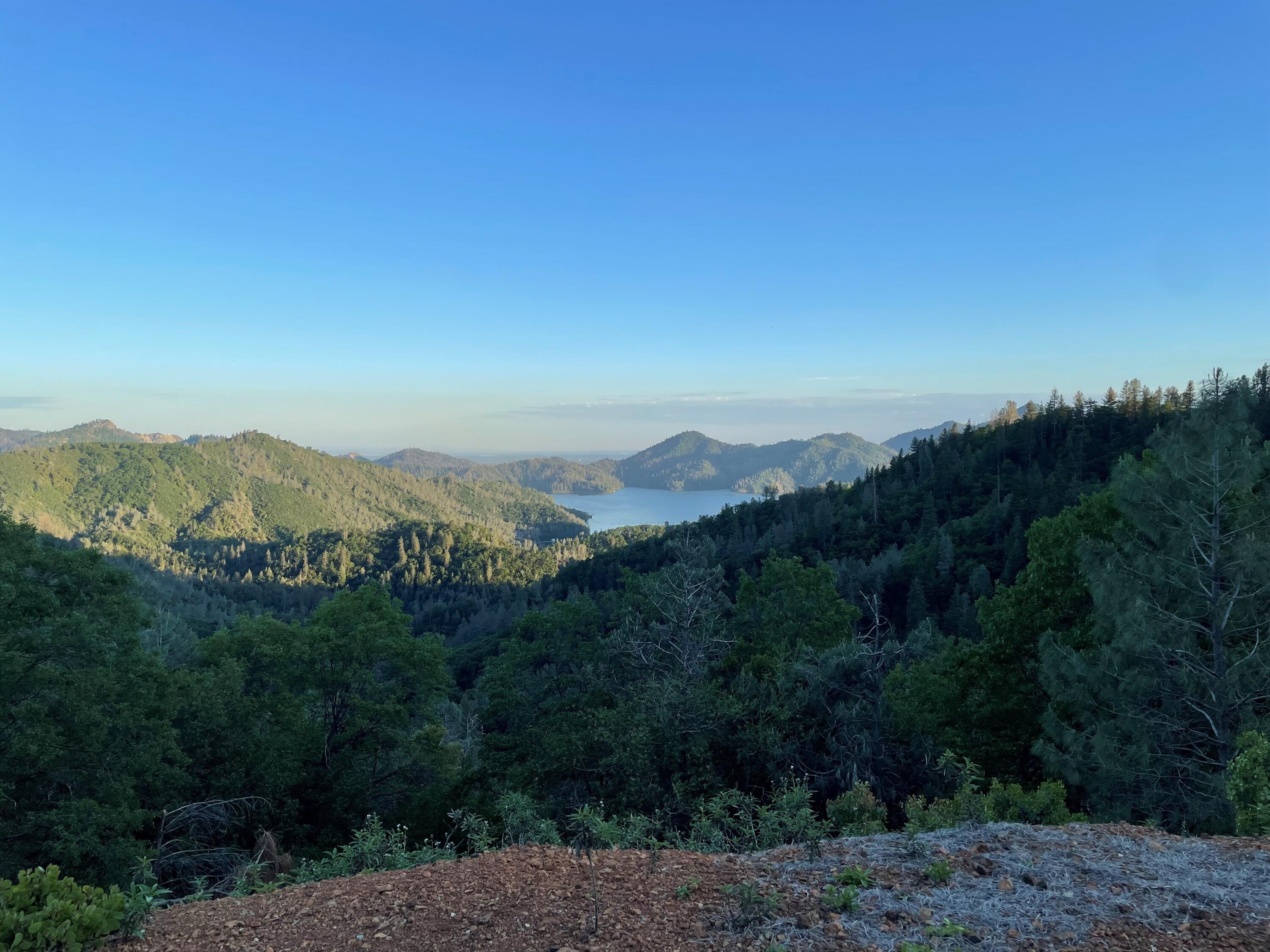 000 Morning Mist Drive