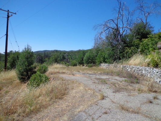 15339 MCCOMB HILL RD, SHASTA, CA 96087 - Image 75a492b2e5d989d1665f222ba5ee9ecd/2901101841