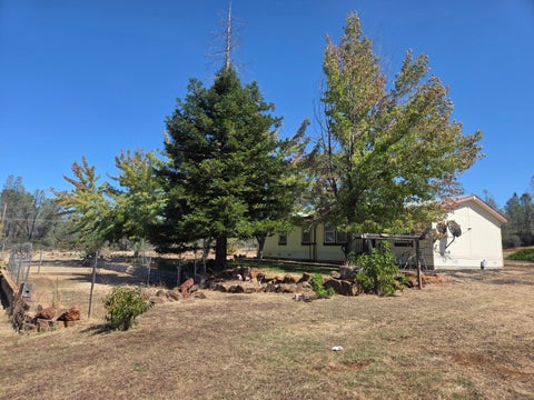 Photo of 7241 Pine Meadows Drive, Shingletown, CA 96088 (MLS # 26-5181)