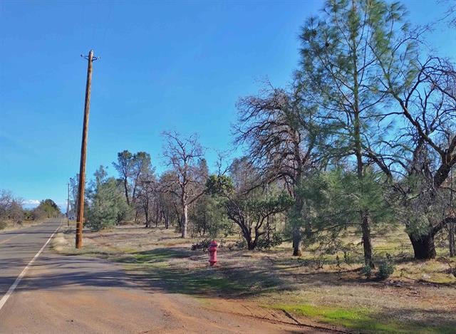Lot 2 Palm Avenue