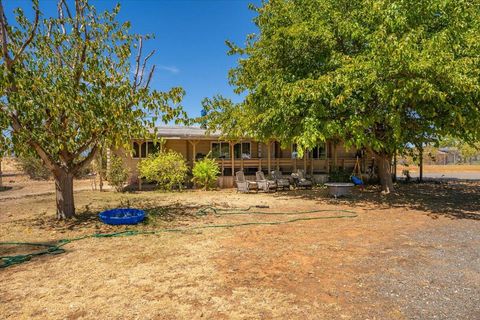 Photo of 10755 Cody Drive, Red Bluff, CA 96080 (MLS # 25-3881)