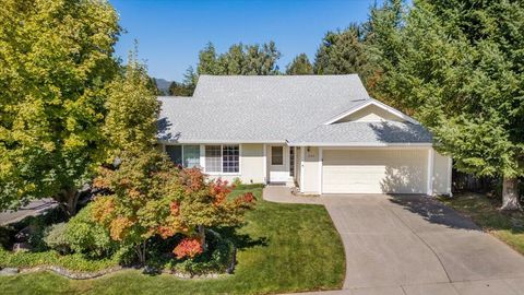 Photo of 600 Mountain View Drive Dr, Mount Shasta, CA 96067 (MLS # 25-4129)