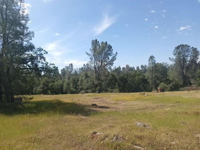 000 Wildcat Road