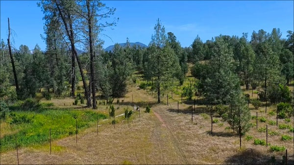 WANDA LN, REDDING, CA 96003 - Image 86fa7e8293c68e3e00ed2bfb8ba033b4/1802461449