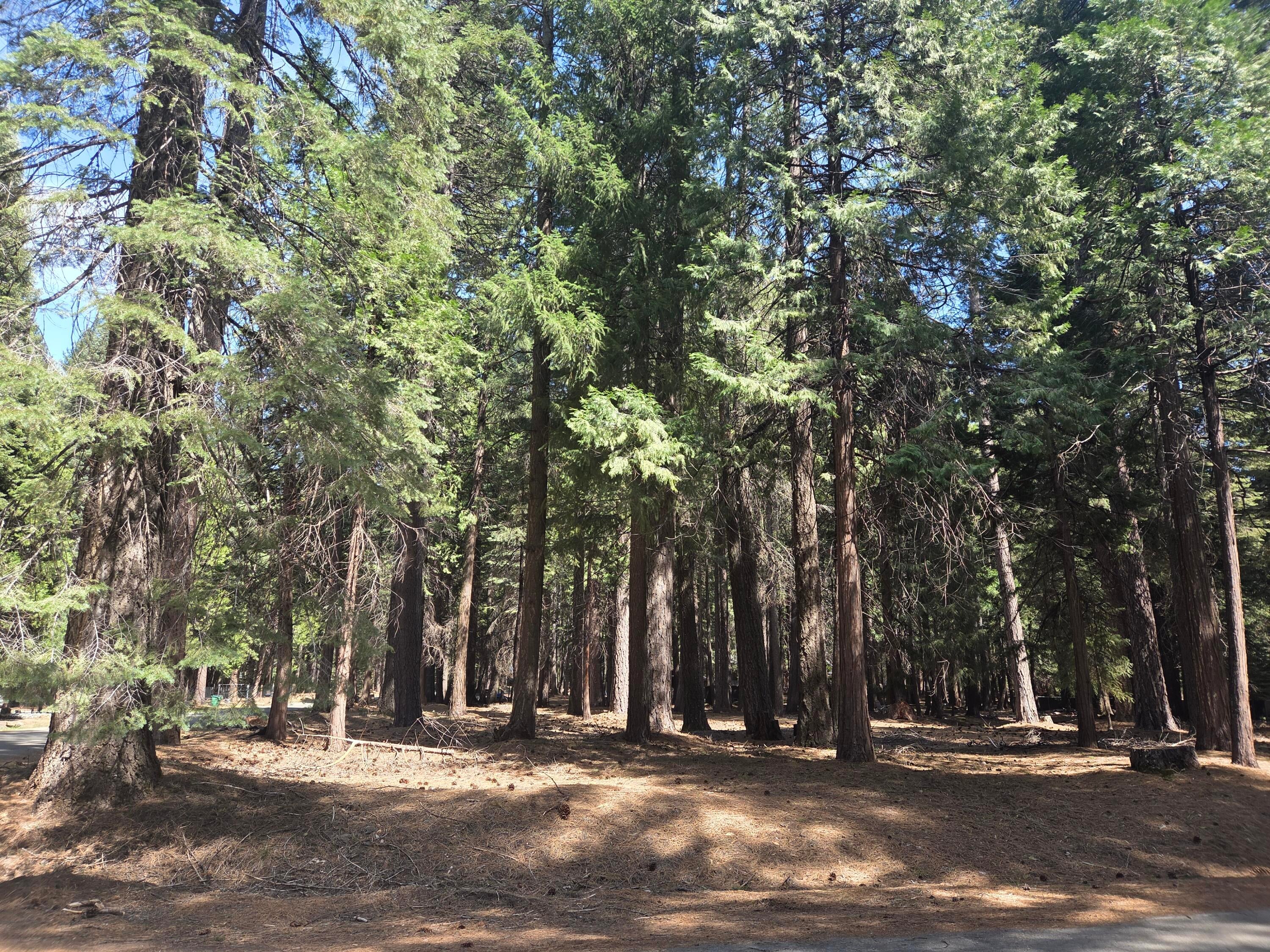 Lot # 6 Colossians Way