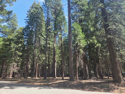 LOT # 6 COLOSSIANS WAY, SHINGLETOWN, CA 96088 - Image 896d524c89e15850e2d6dedd5adf9d13/784875400