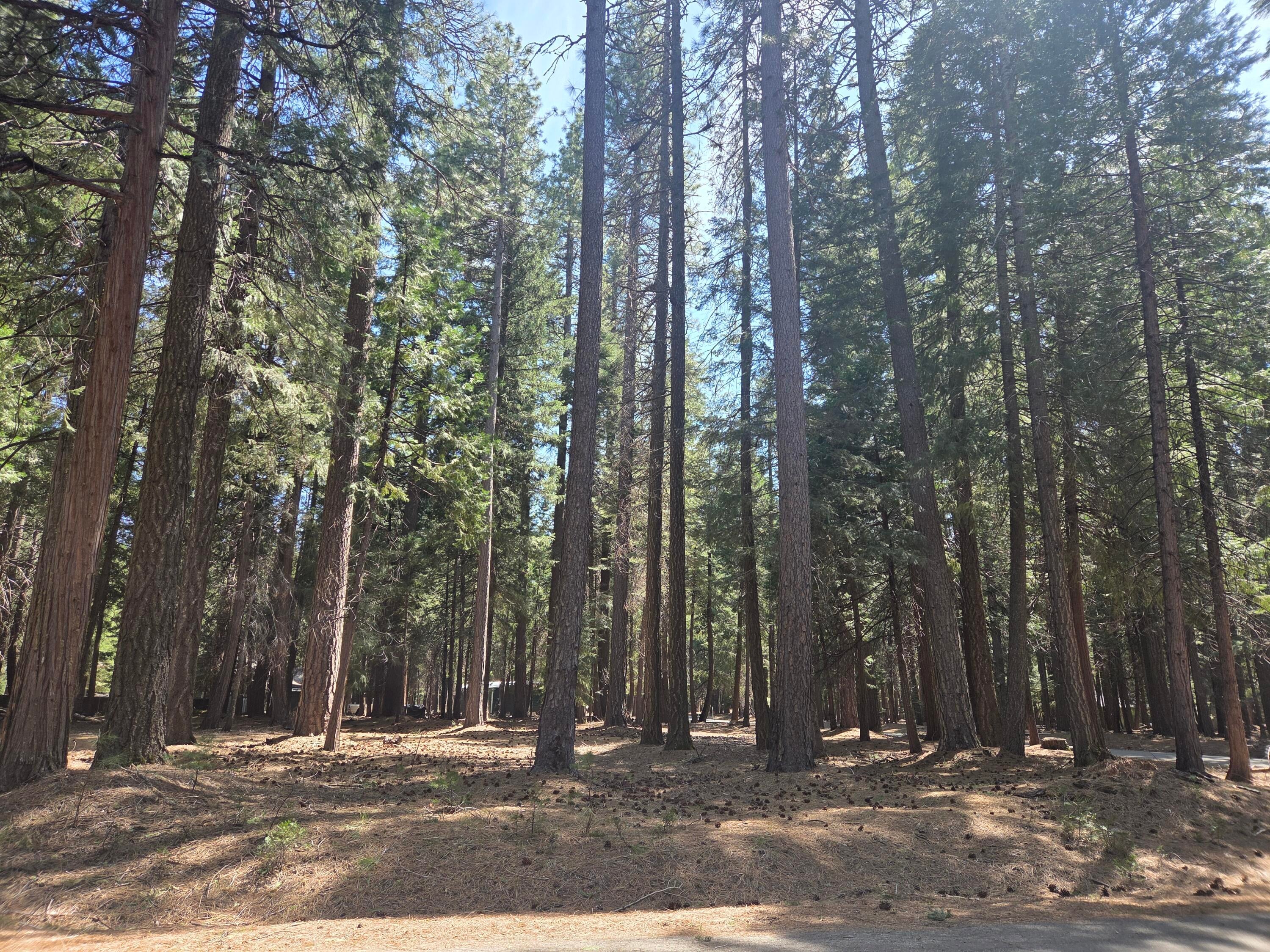 Lot # 6 Colossians Way