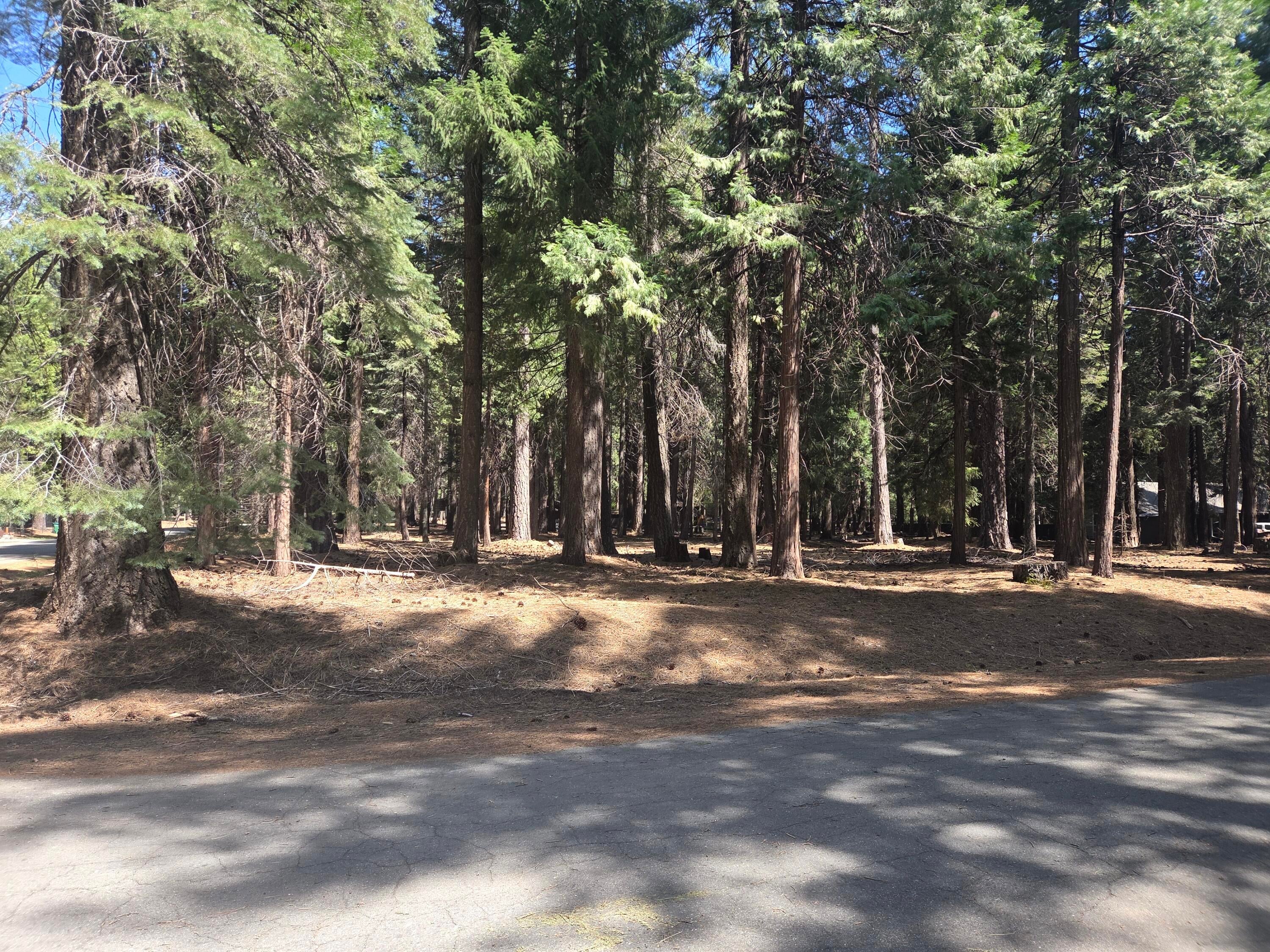 Lot # 6 Colossians Way