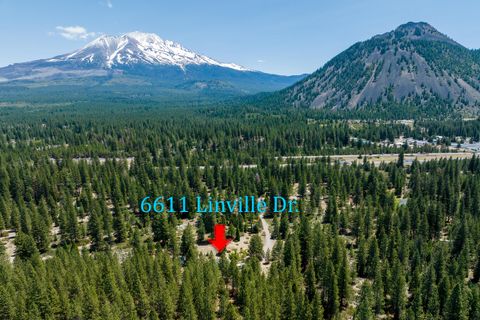 6611 Linville Drive, Weed, CA 96094 - #: 24-1717