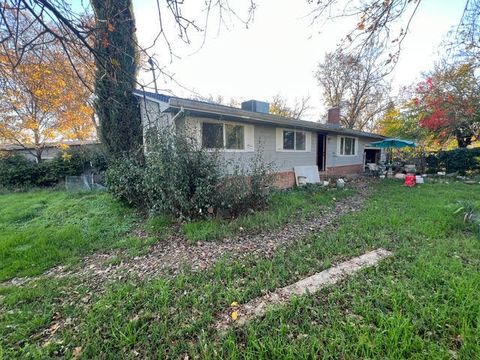 Photo of 10680 Swede Creek Road, Palo Cedro, CA 96073 (MLS # 25-5418)