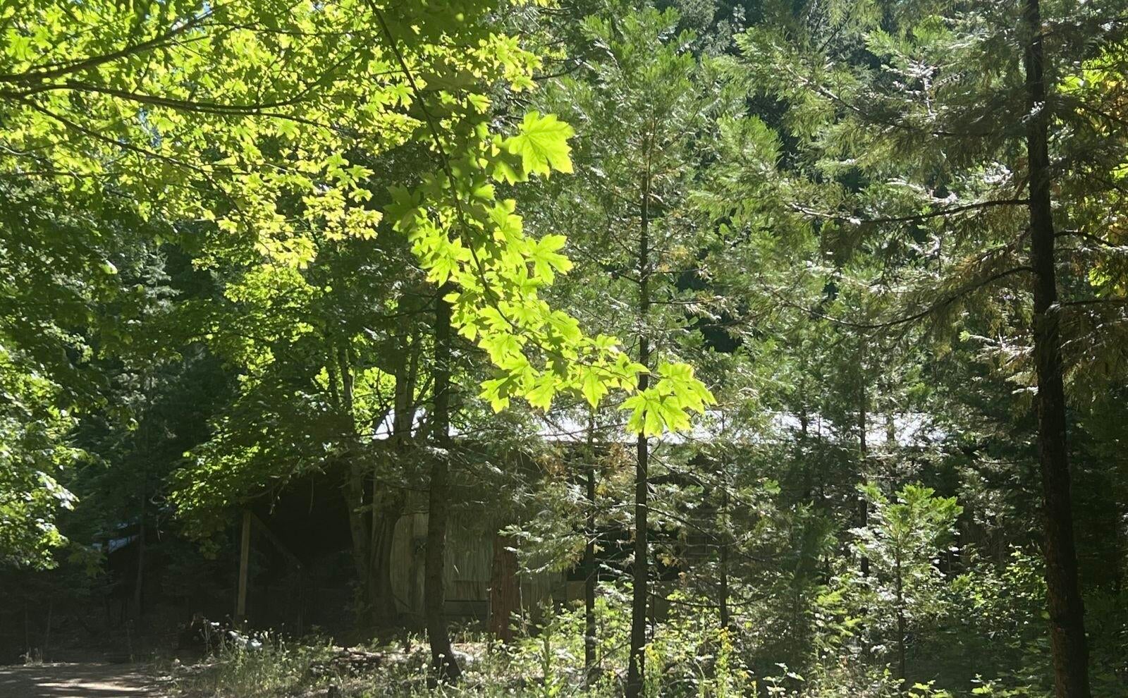 1931 Bear Creek Road