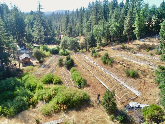 132 HORSESHOE LOOP, HAYFORK, CA 96041 - Image 9f3d196bd022466bbd4105dc10e0768e/1538304532