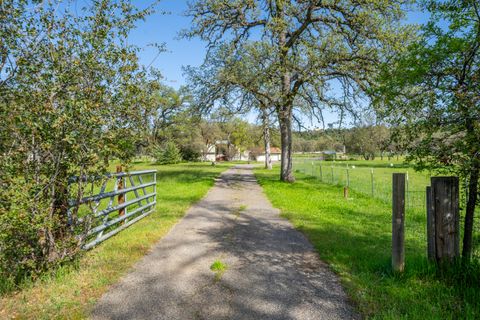 Photo of 10257 Swede Creek Road, Palo Cedro, CA 96073 (MLS # 25-4868)