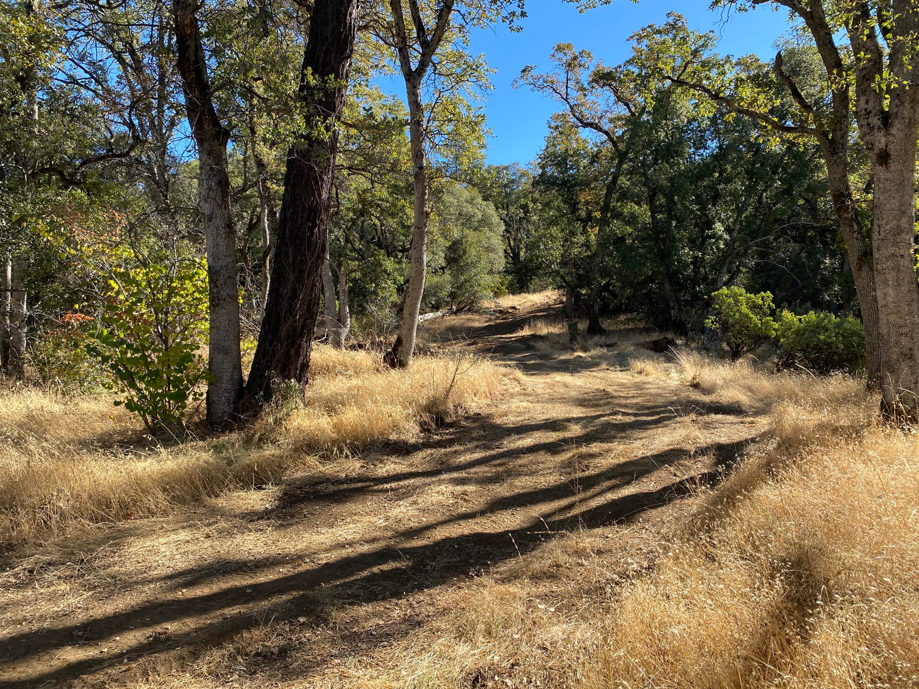 86 Acres Shingletown Ridge Road