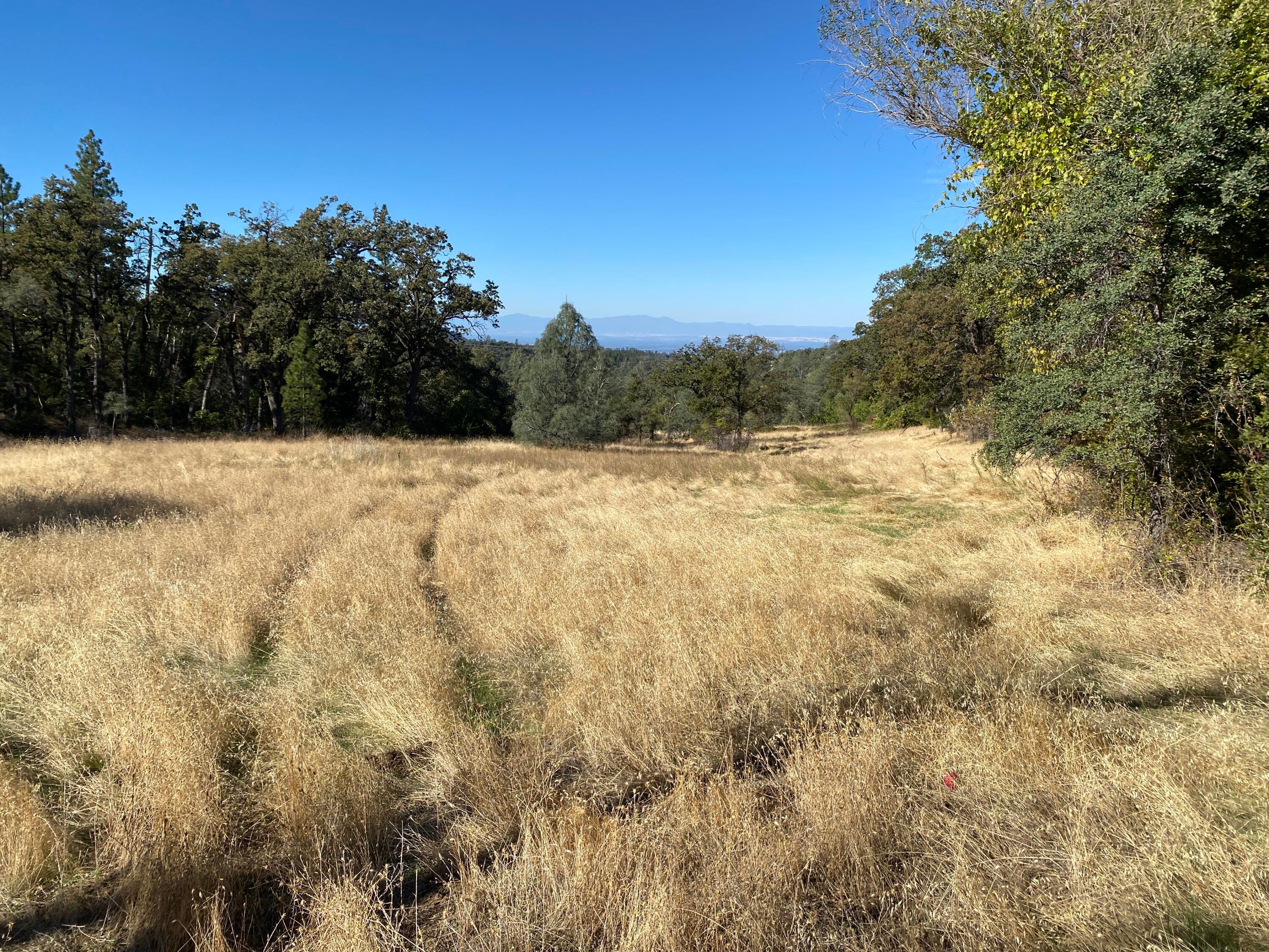86 Acres Shingletown Ridge Road